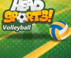 Hoved Sport Volleyball