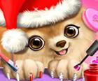 Salão De Natal - Papai Noel E Animais De Estimação Makeover