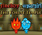 Fireboy a Watergirl: Lesná Chrámová hra