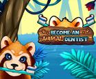 تصبح طبيب أسنان الحيوان