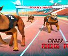 पागल कुकुर दौड ज्वरो : कुकुर दौड खेल 3D