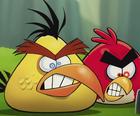 Матч Angry Birds 3