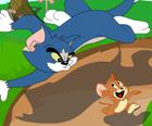 Tom Und Jerry In Zusammenarbeit