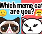 Quel chat meme êtes-vous?