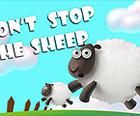 Не се спре овца