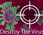 वायरस को नष्ट करें