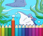 Drăguț Pește Carte De Colorat App