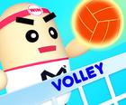 Volley Pónairí 3D