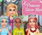 Princess Silver Hairstyles