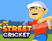 Cricket di strada