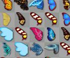 Butterfly Kyodai Klassieke