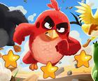 Angry Birds Gizli Yıldızlar