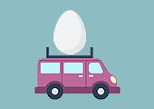 계란과 자동차