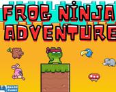 Frog Ninja Adventure