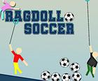 Ragdoll Fußball