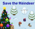 Save the Reindeer
