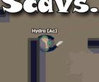 Scavs ပိဳင္စံ