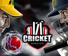Cricket Dünya Çempionatı
