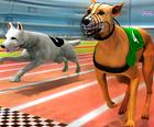 Истинска куче състезателна игра 3D
