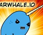 Narwhale.कब