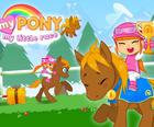 Мой Пони: Моя Маленькая гонка
