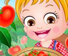 Baby Hazel: Tomaten Anbau