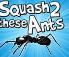 Squash Tieto Mravce 2