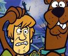 Scooby Doo Trò Chơi Ghép Hình Bộ Sưu Tập