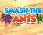 Smash The Ants