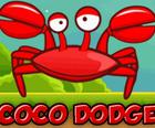 Coco Dodge