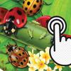 Ladybug Clicker Ladybug Clicker
