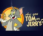 あなたはトムかジェリーですか？