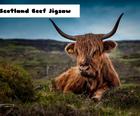 Scoția Carne De Vită Jigsaw