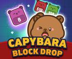 Capybara Block Drop