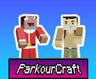 Parkour Craft Noob Steve