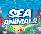 Zwierzęta morskie HD
