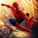 Spiderman Spiderman