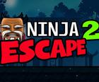 Ninja Ontsnap 2