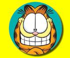 Garfield Gizli Ulduz