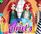 Ariel Life Cycle