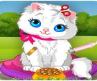 Kat Kliniek!!! Little Kitty Cat Hospitaal