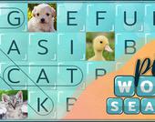 Word Search Imagens