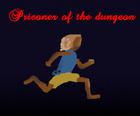 Prisoner of the dungeon