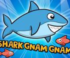 Cá Mập Gnam Gnam