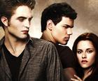 Twilight Jigsaw Puzzle Collection