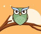 Magic Owl Coloring