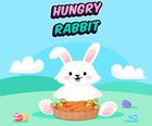 Hungry Rabbit