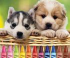 4GameGround - Puppy Coloring
