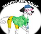 Pongo Ăn Mặc