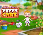 Baby Hazel Puppy Care